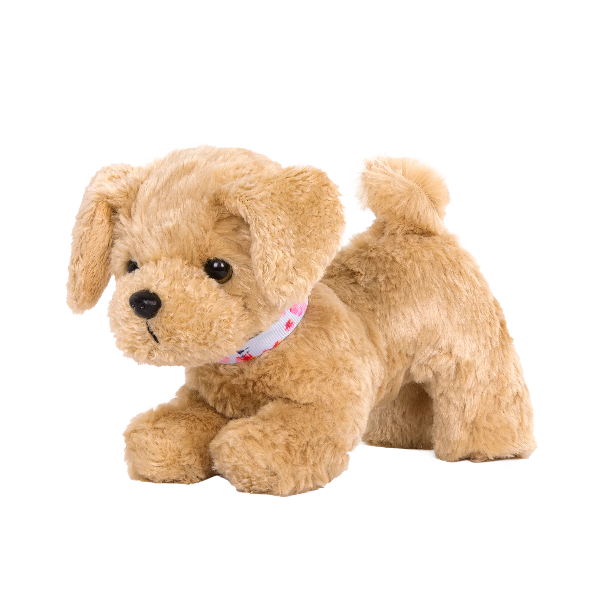 Goldendoodle Pup - Image 3